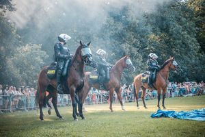 Wojewódzkie obchody Święta Policji 2018