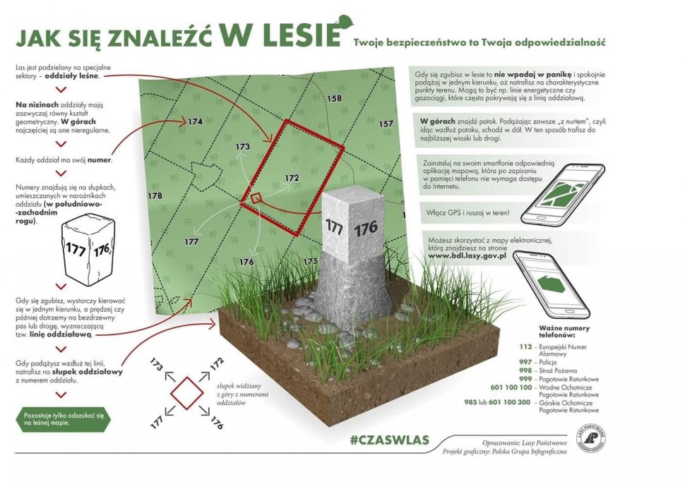 plakat informacyjny jak się znaleźć w lesie