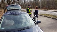 policjant wręcza tulipana kierującej