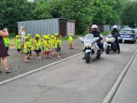 dwaj policjanci na motocyklach, a obok nich przedszkolaki ubrane w żółte kamizelki i czapki