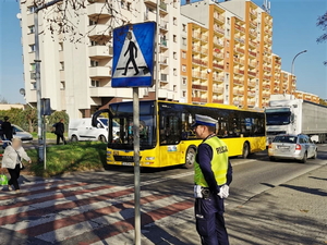 zdjęcie przedstawia policjanta stojącego przy przejściu dla pieszych