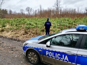 zdjęcie przedstawia policjanta i radiowóz w rejonie leśnym