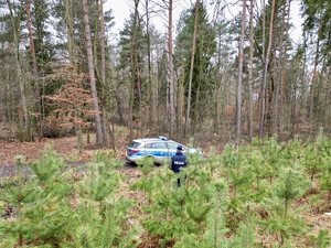 zdjęcie przedstawia policjanta i radiowóz w rejonie leśnym