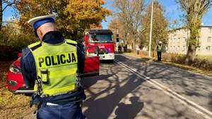 zdjęcie przedstawia policjantów w trakcie czynności na miejscu wypadku drogowego