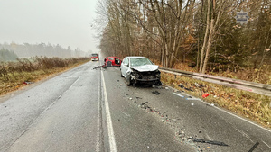 zdjęcie przedstawia policjantów na miejscu wypadku drogowego