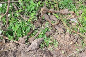 zdjęcie przedstawia miejsce w którym znajdują się niewybuchy