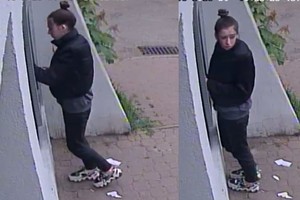 zdjęcie przedstawia wizerunek kobiety