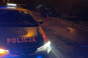 zdjęcie przedstawia samochód w rowie, obok stoi radiowóz.