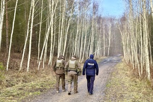 zdjęcie przedstawia munudrowych kontrolujących las