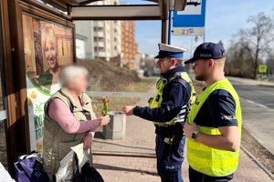 zdjęcie przedstawia policjantów w trakcie kontroli drogowej.